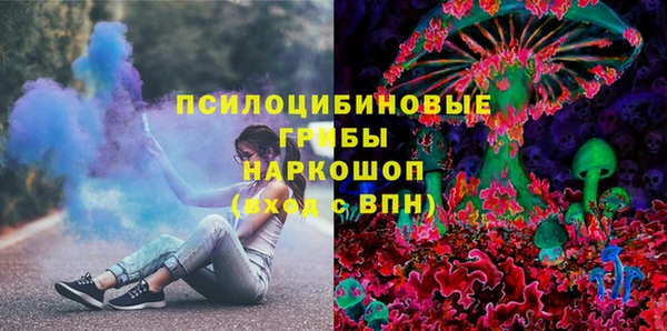 ПСИЛОЦИБИНОВЫЕ ГРИБЫ Верея