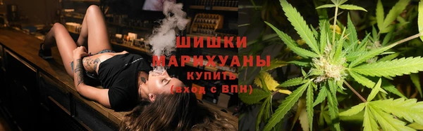 ПСИЛОЦИБИНОВЫЕ ГРИБЫ Верея