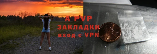 ПСИЛОЦИБИНОВЫЕ ГРИБЫ Верея