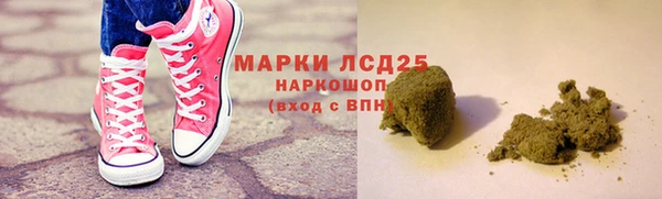 ПСИЛОЦИБИНОВЫЕ ГРИБЫ Верея