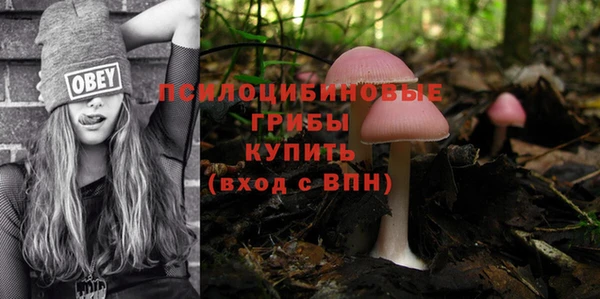 Альфа ПВП Верхнеуральск