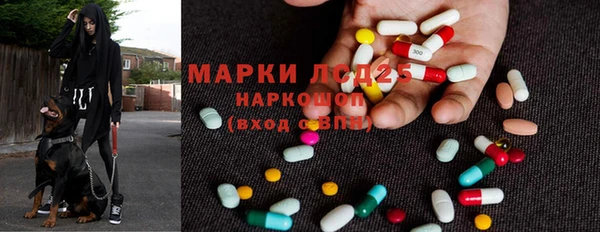 ПСИЛОЦИБИНОВЫЕ ГРИБЫ Верея