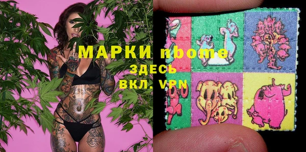 ПСИЛОЦИБИНОВЫЕ ГРИБЫ Верея